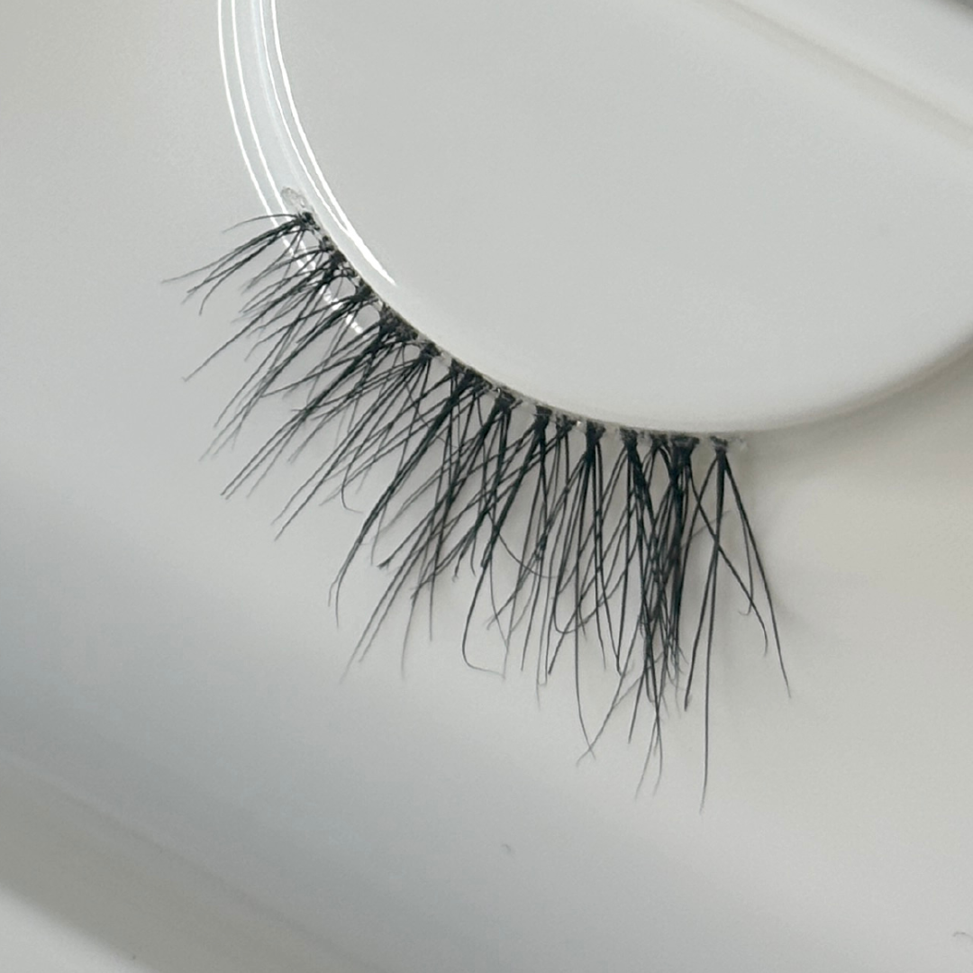 Shell Lash