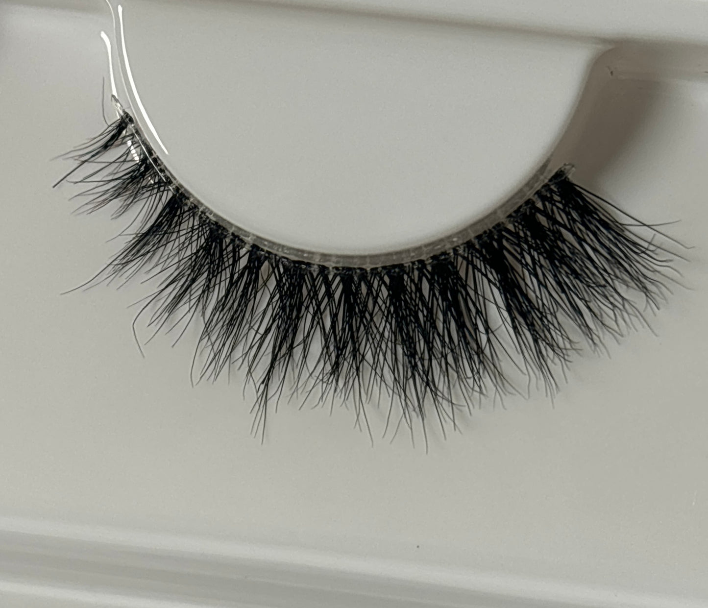 Coral Lash